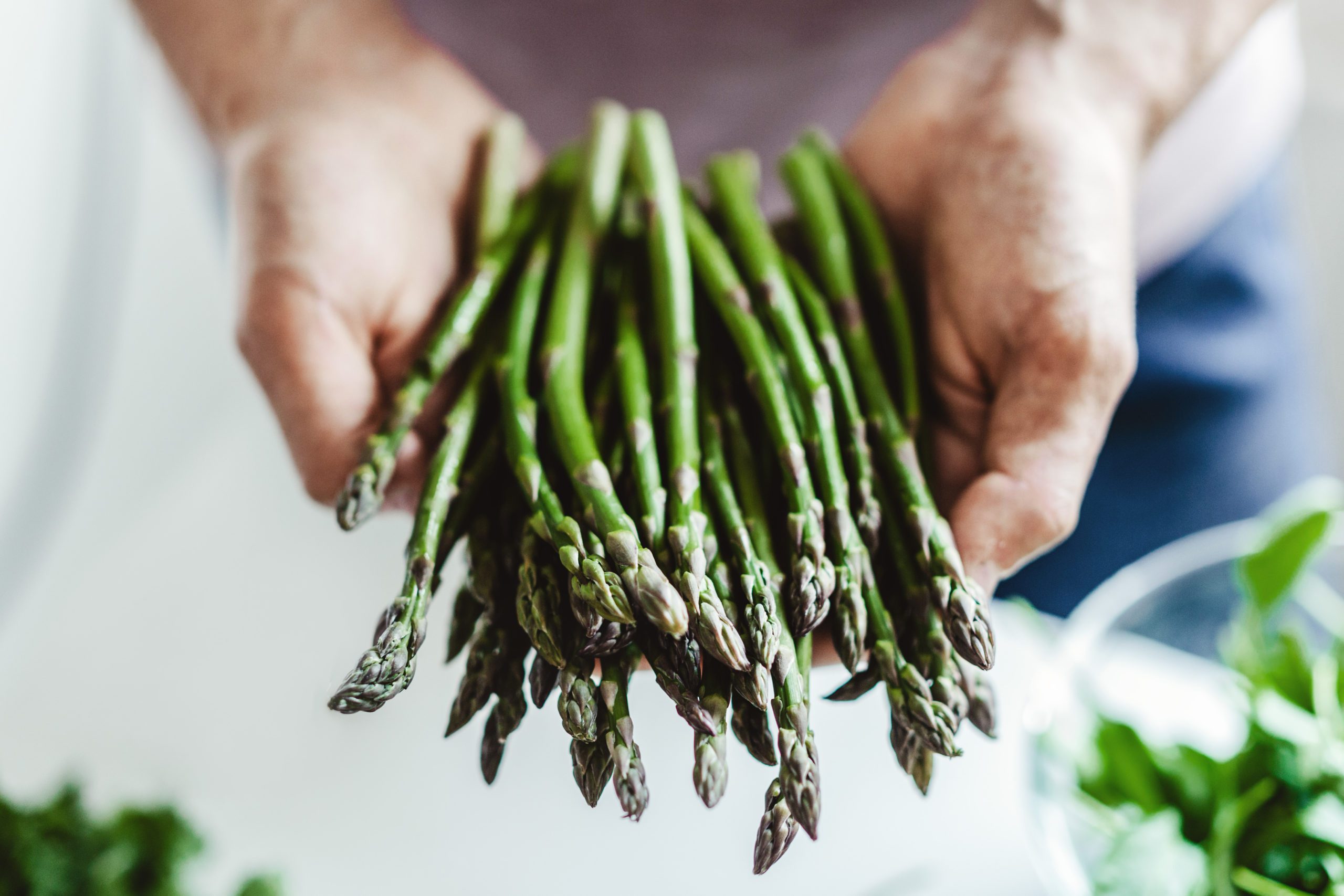 Young man holding fresh asparagus